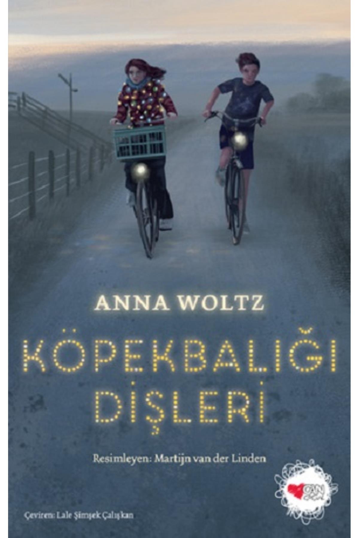 Köpekbalığı Dişleri