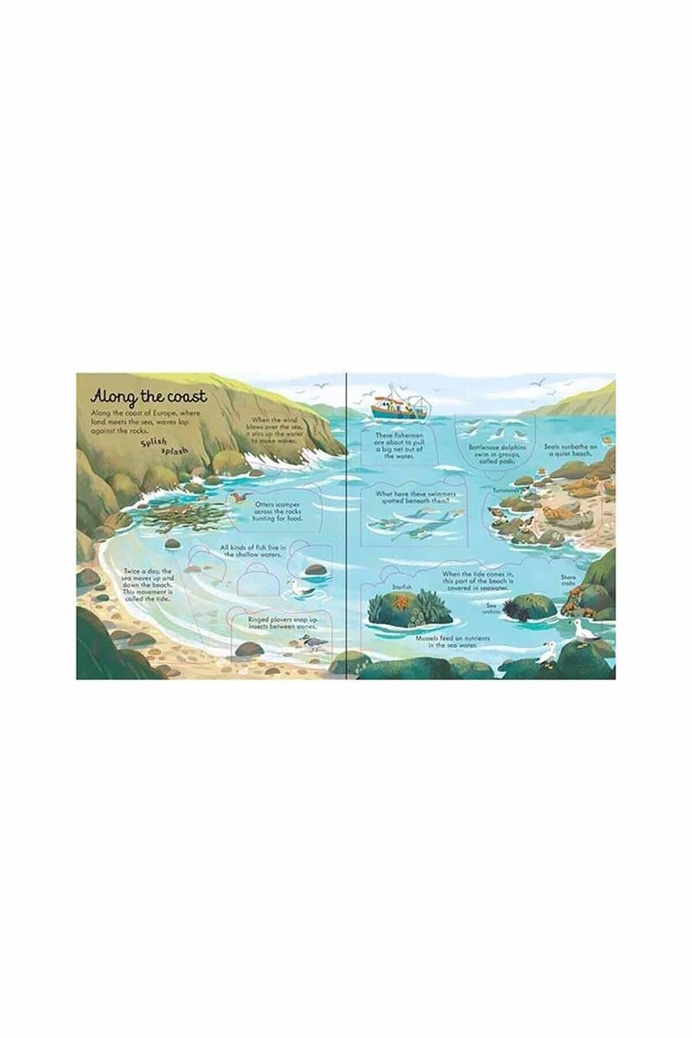 Look Inside Seas And Oceans