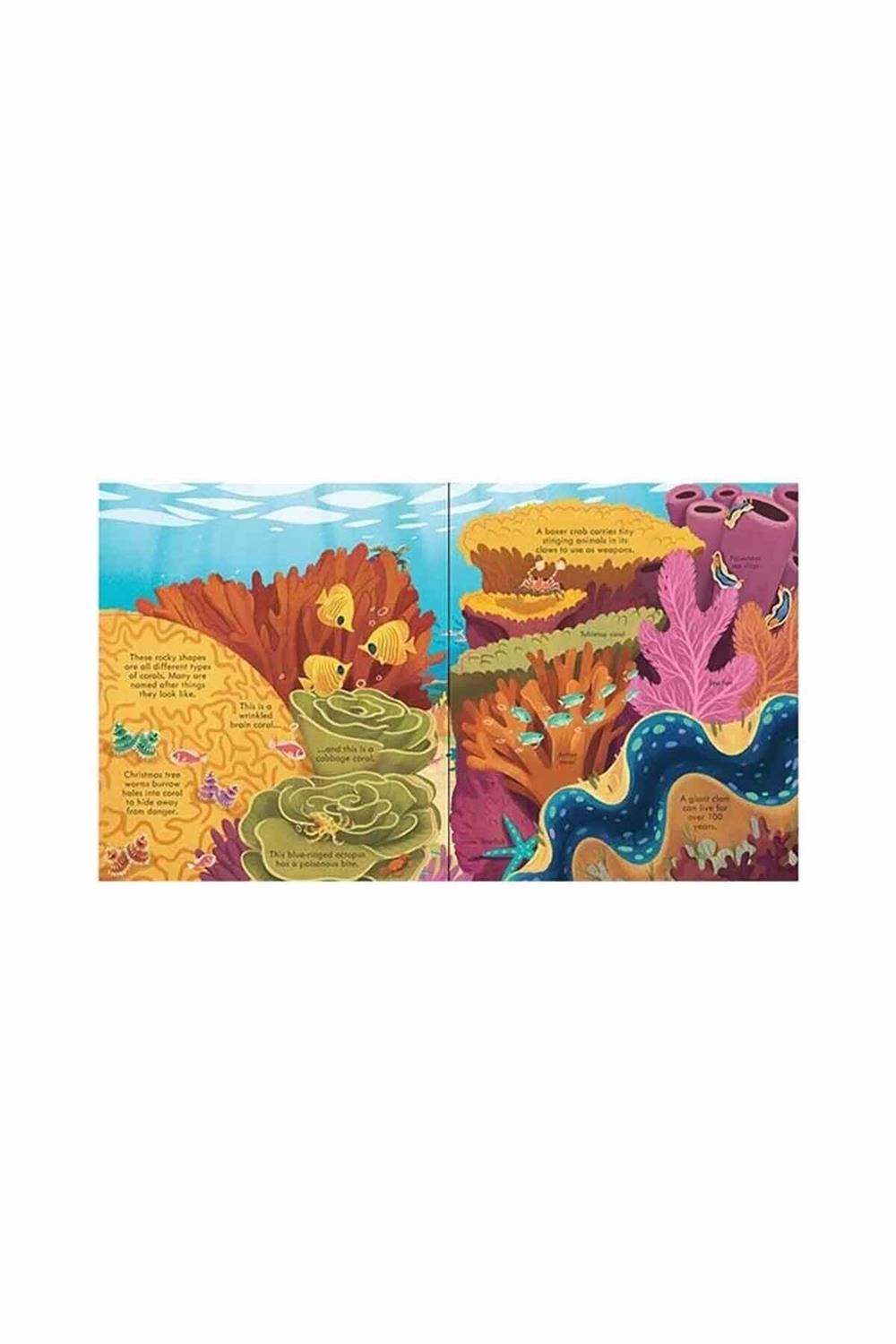 Look Inside Seas And Oceans