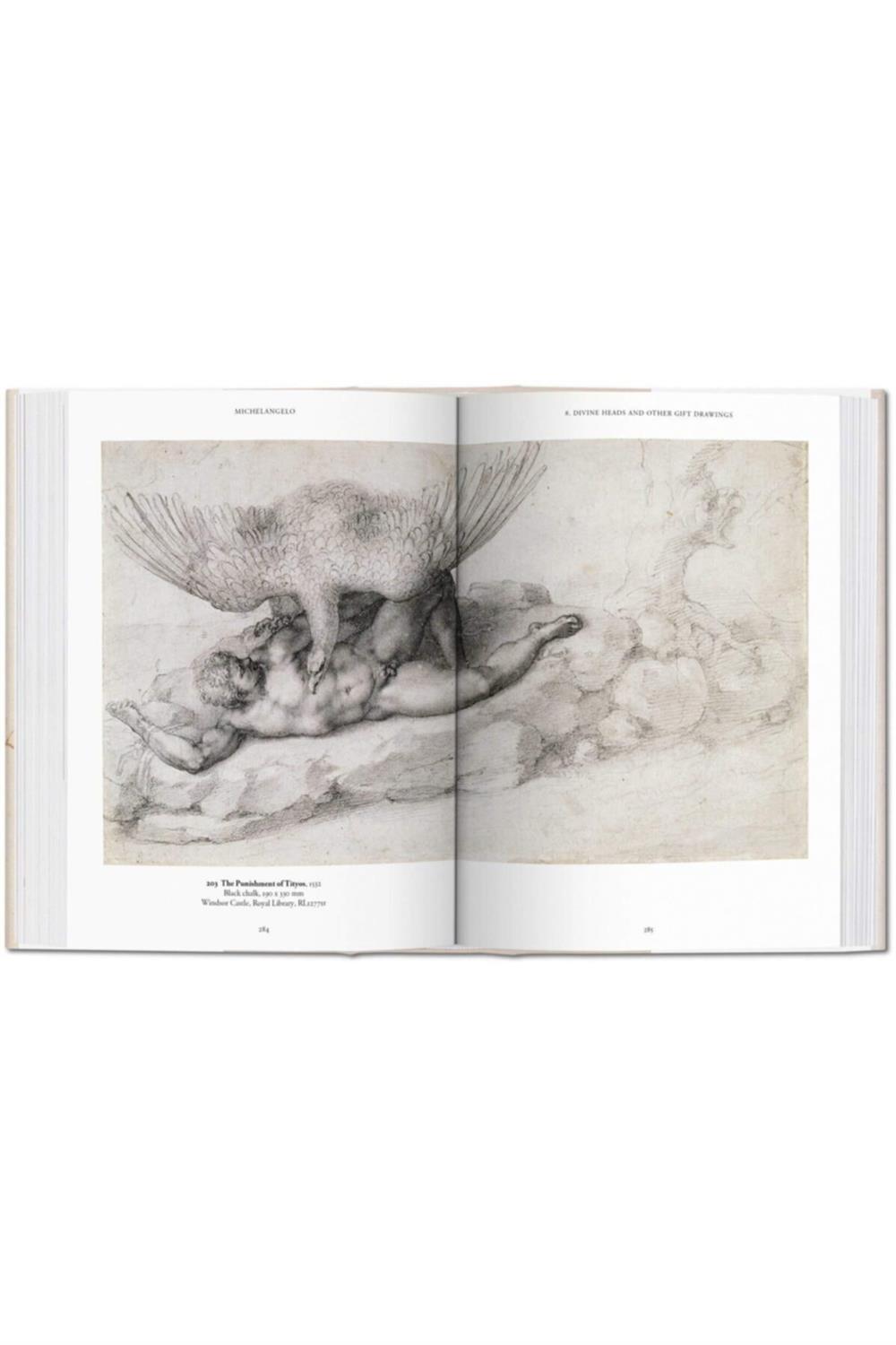Michelangelo: The Graphic Work