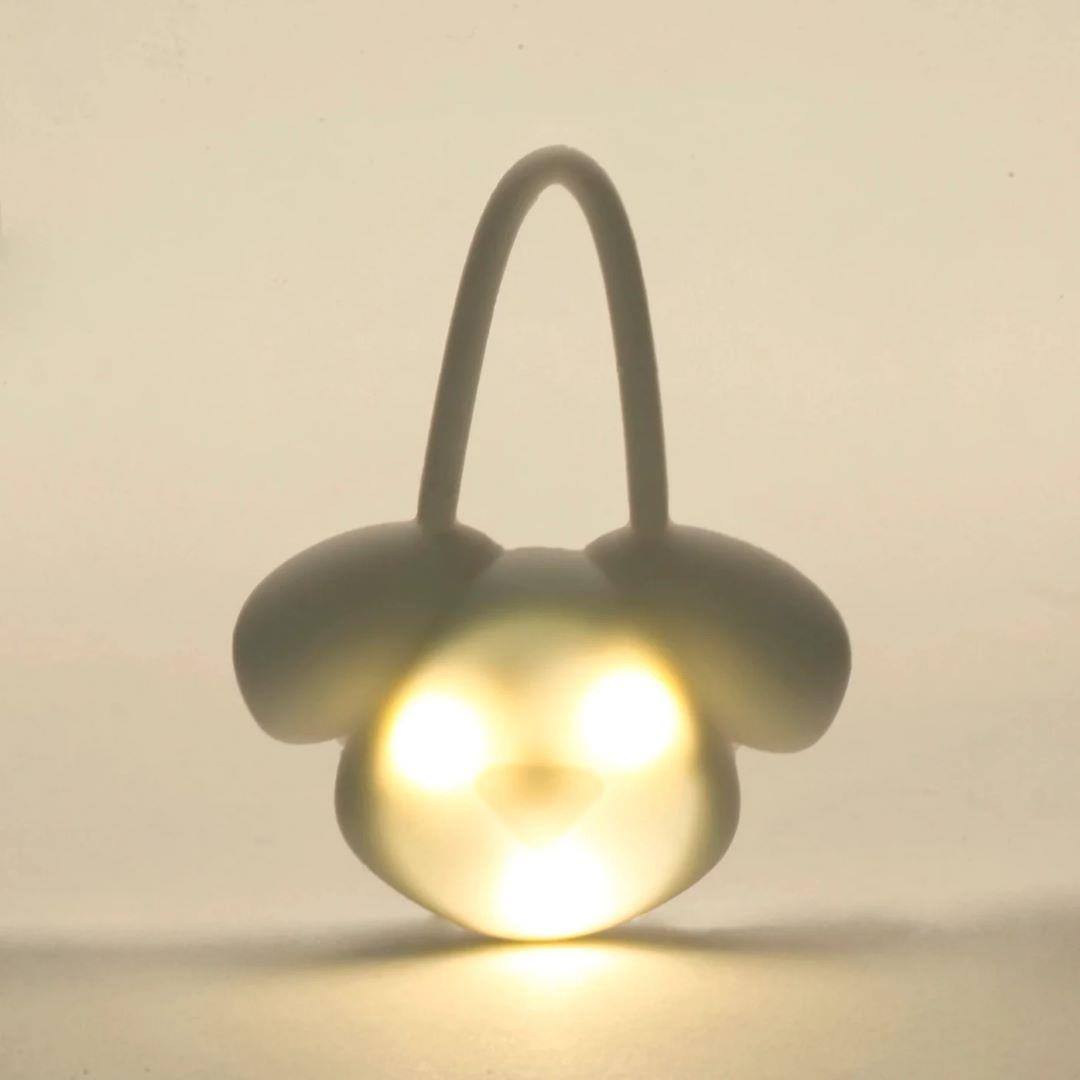 Pet Aydınlatmalı Tasma İsimliği