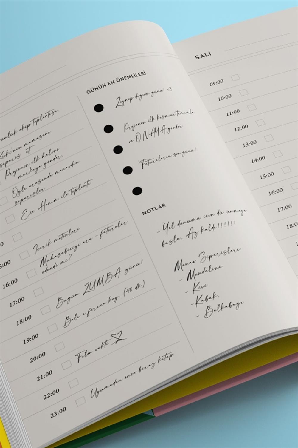 Plan Tarihsiz Ajanda