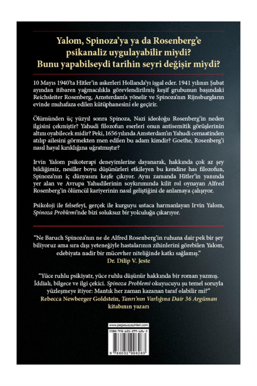 Spinoza Problemi & Irvin D. Yalom - Irvin D. Yalom