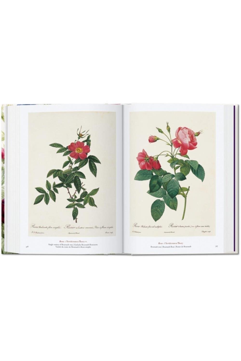 The Book Of Flowers