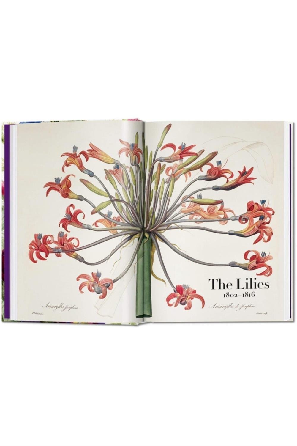 The Book Of Flowers