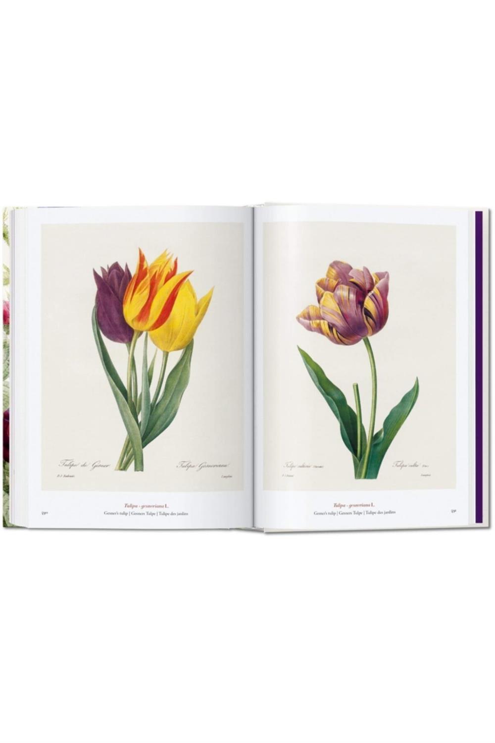 The Book Of Flowers