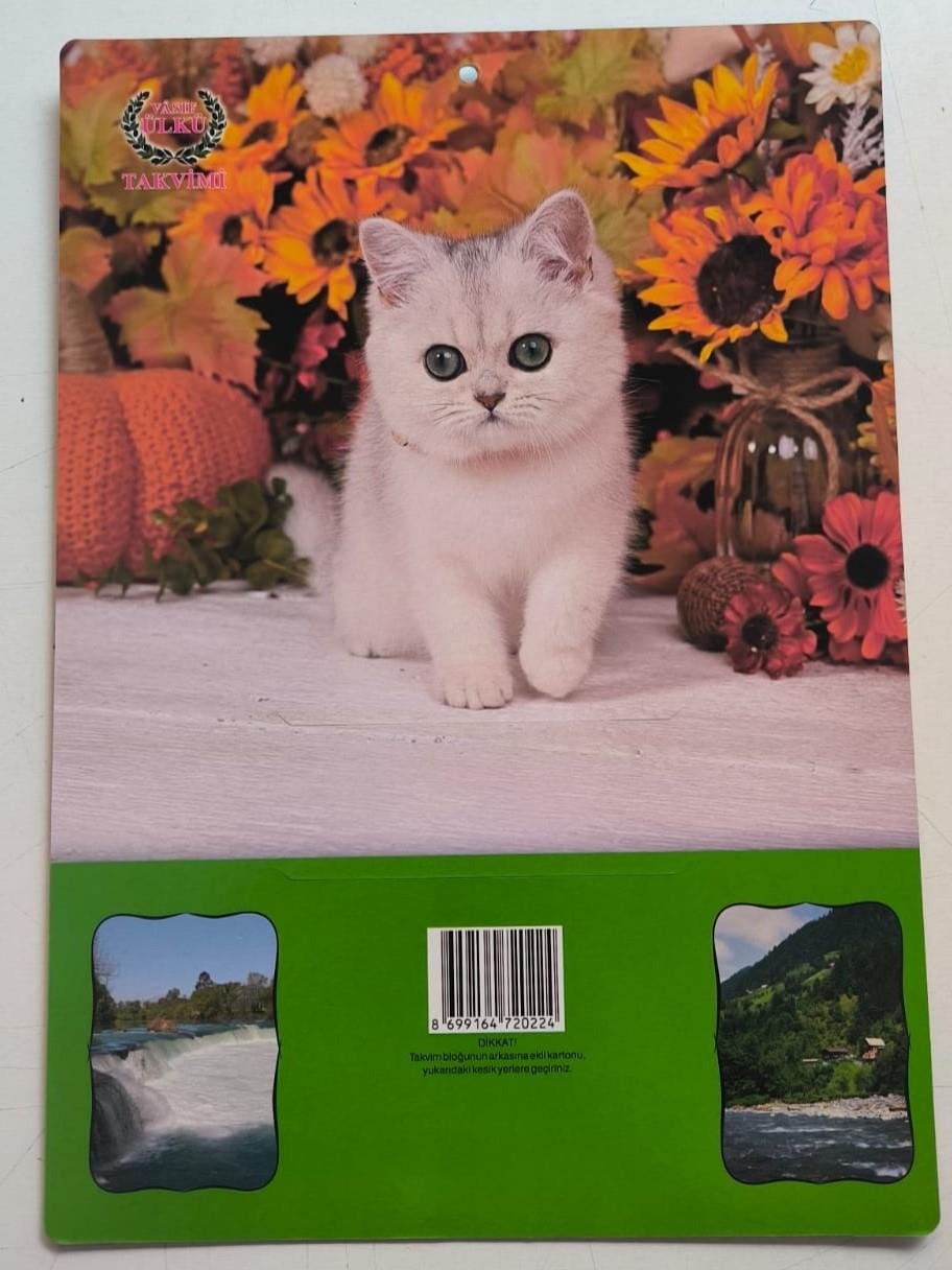 Ülkü Duvar Takvimi 2026