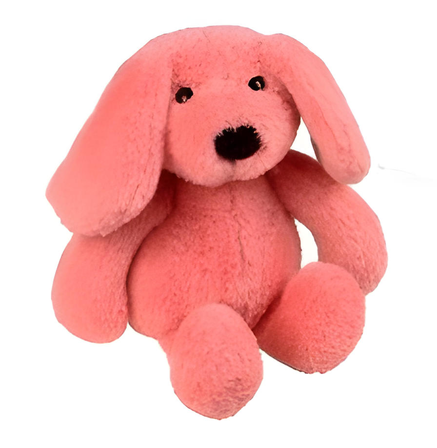 Uyku Arkadaşım Köpek