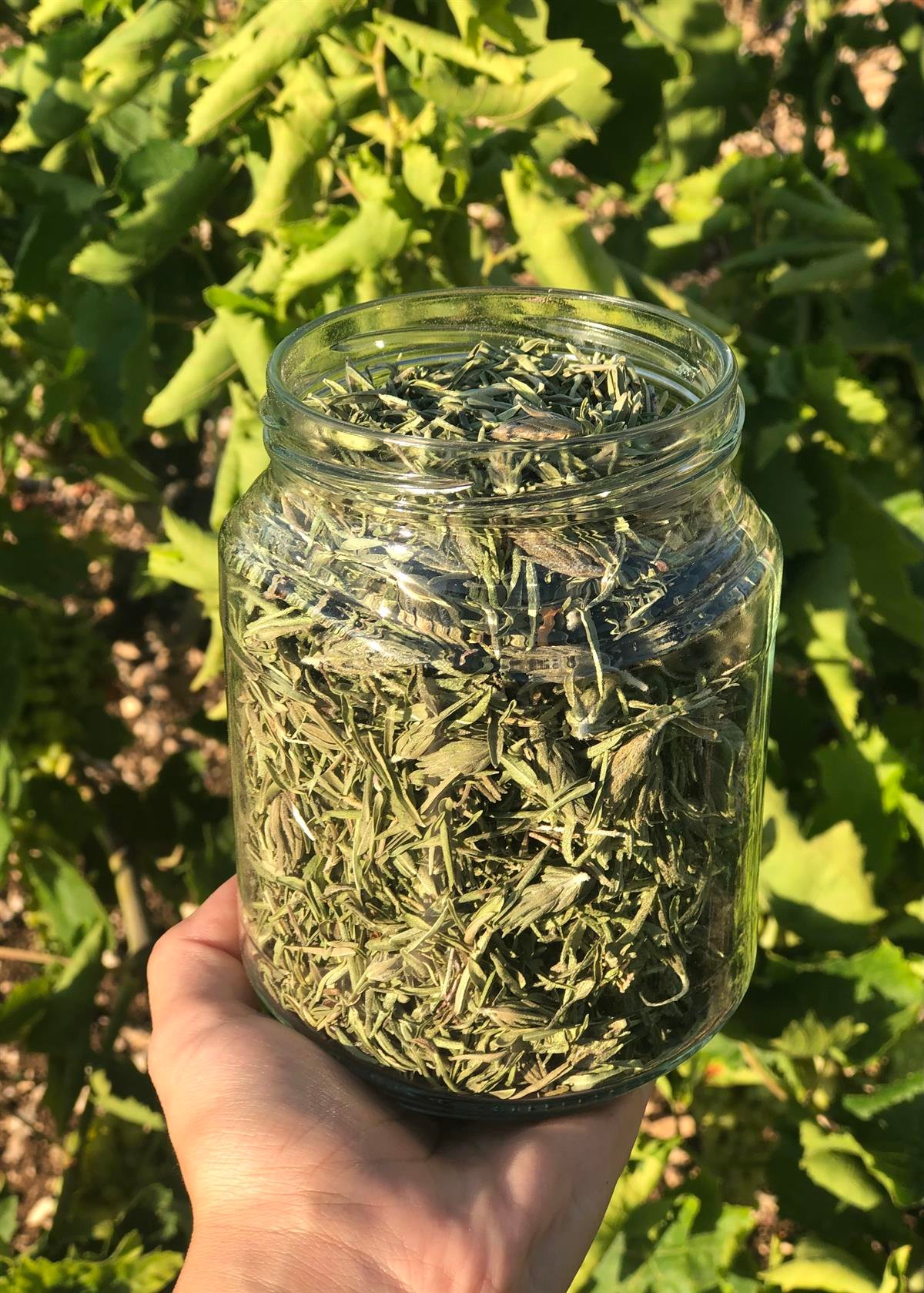 Kekik 40g