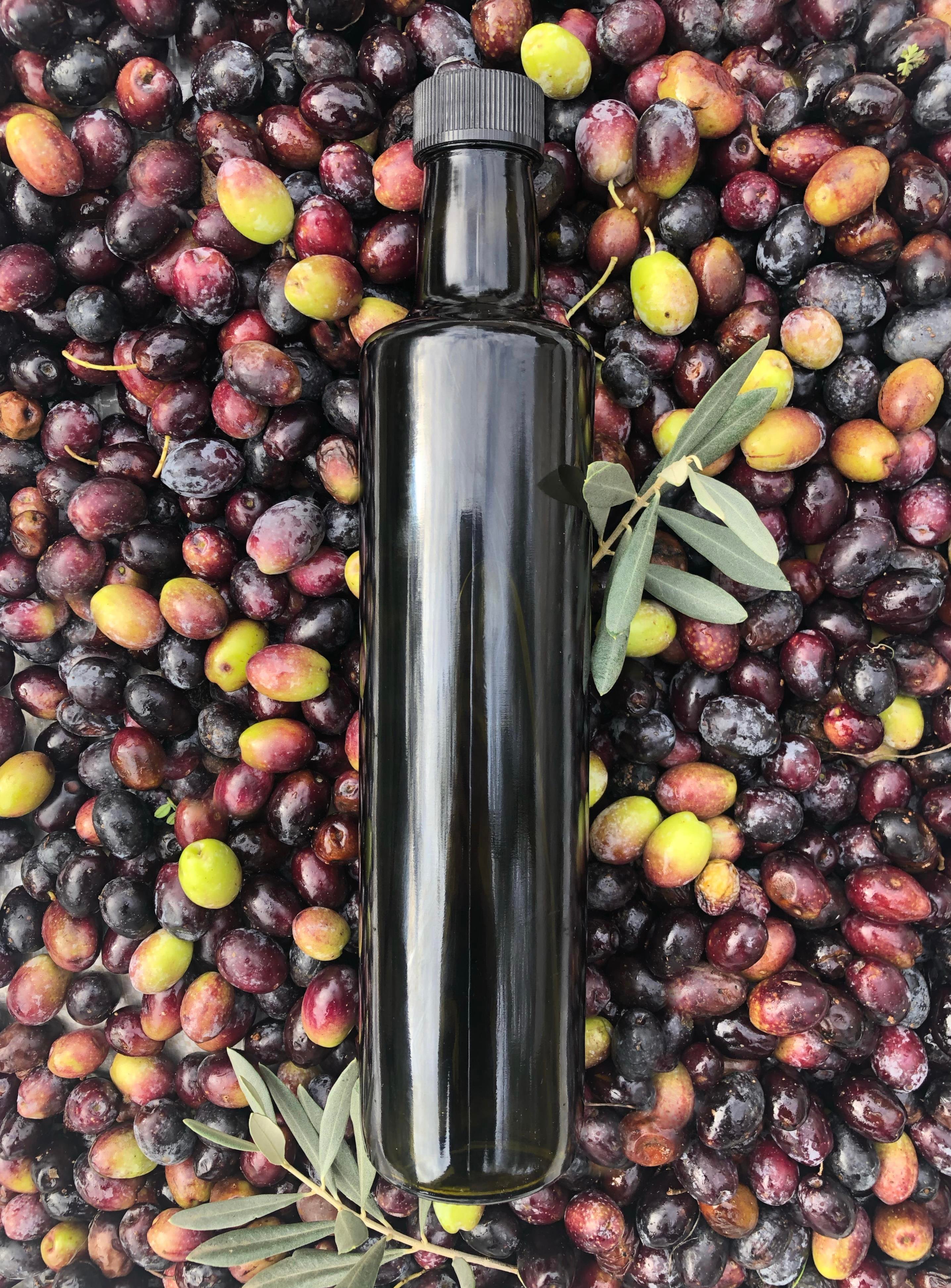 Olgun Hasat Soğuk Sıkım Naturel Sızma Zeytinyağı 500ml