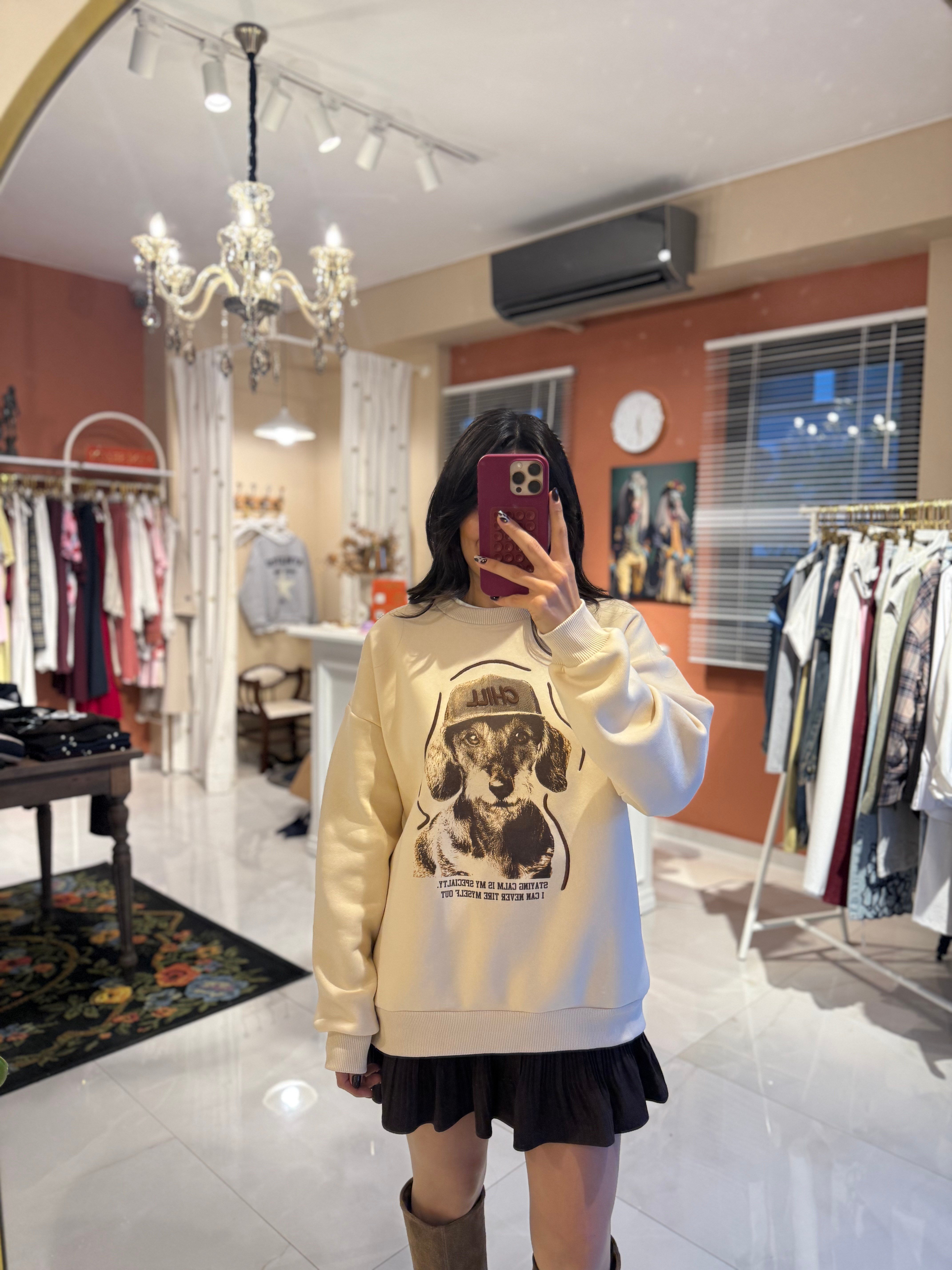 Köpek Baskı ve Nakış Detaylı Bej Sweatshirt 