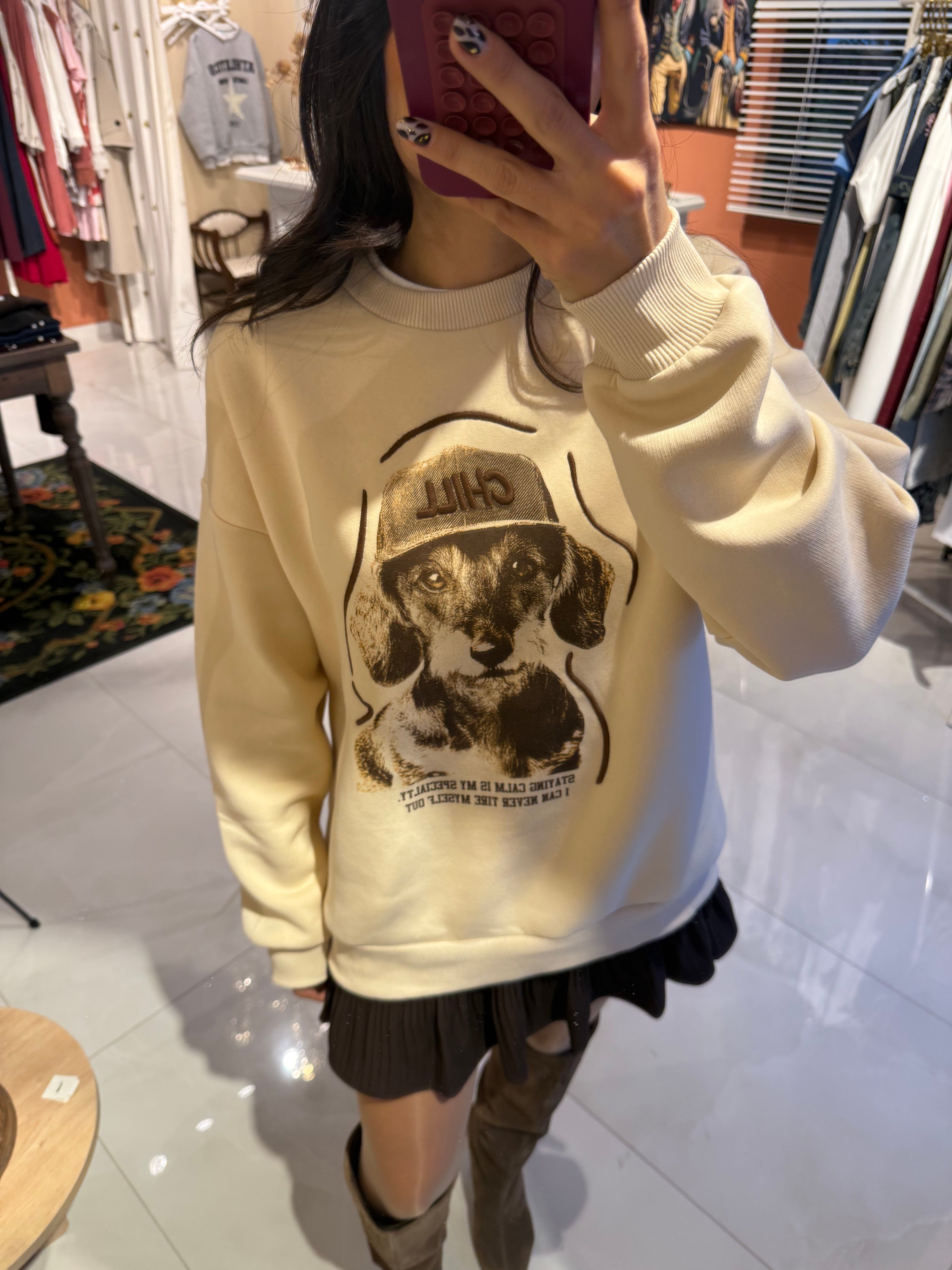 Köpek Baskı ve Nakış Detaylı Bej Sweatshirt 