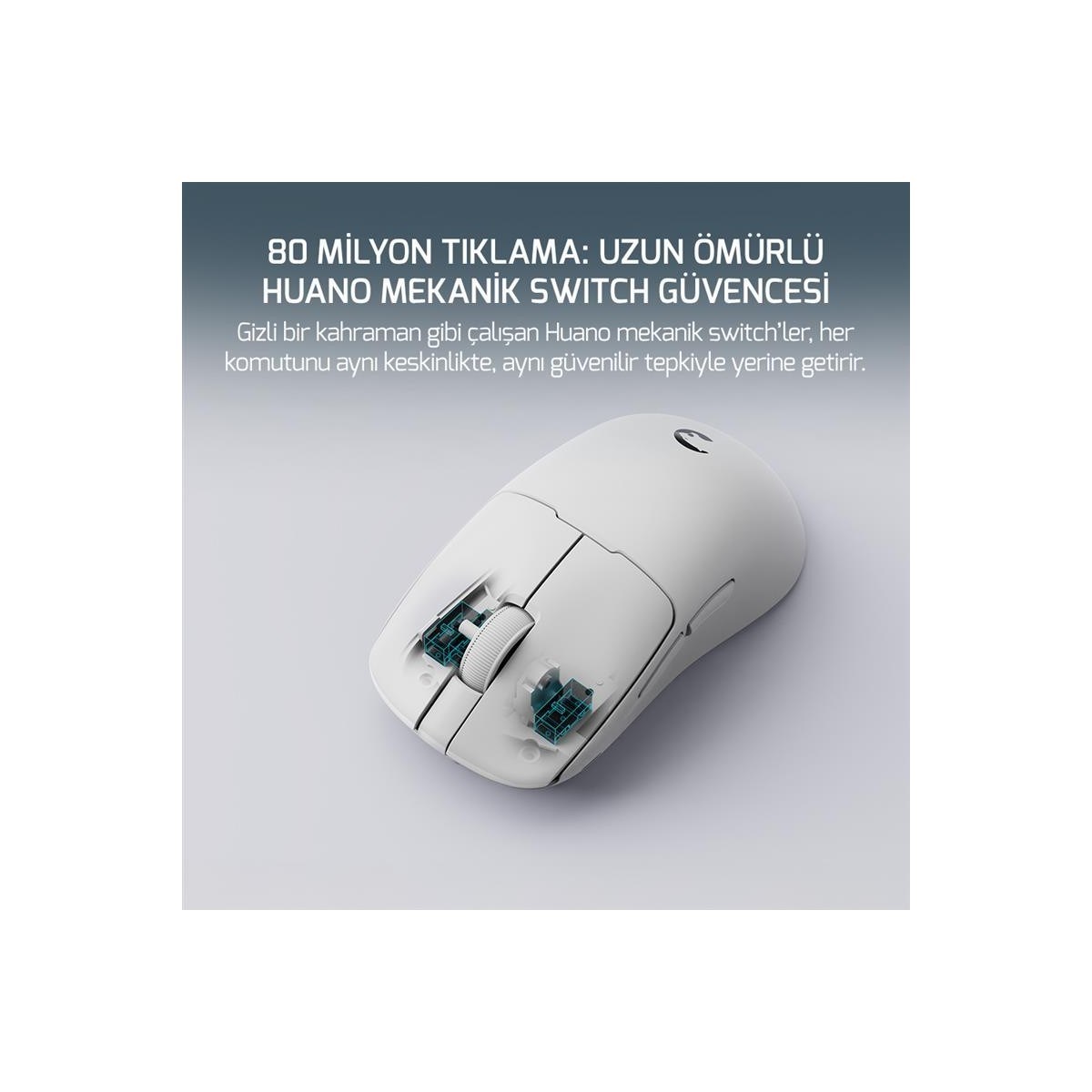 Radus 12.000DPI Triple Mode (Kablolu/bluetooth/2.4g) Gaming Mouse BEYAZ