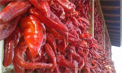 ANTAKYA ŞENKÖYLÜLER TATLI BİBER SALÇASI - 1600 GR BRÜT