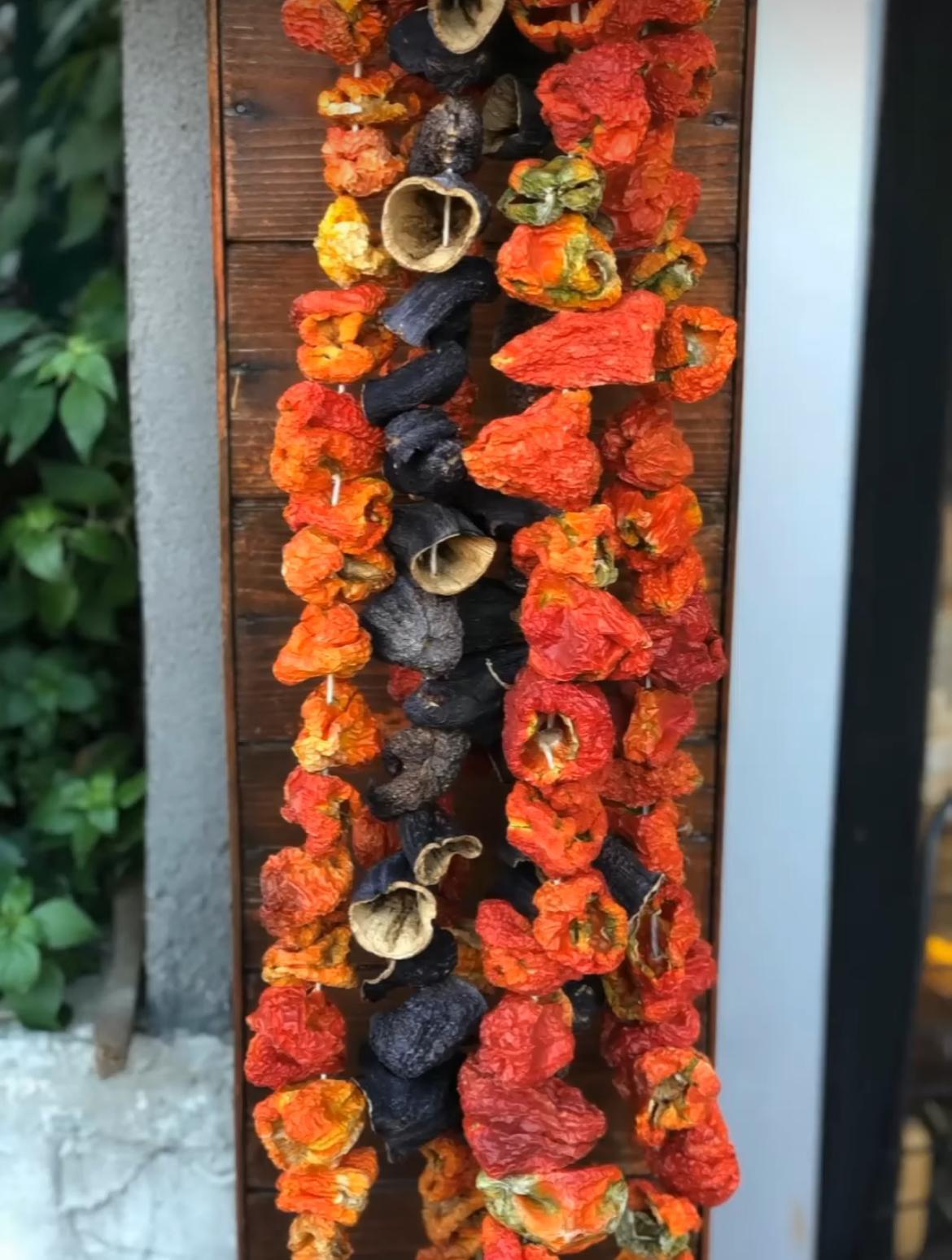 DOLMALIK KURU BİBER 50 ADET