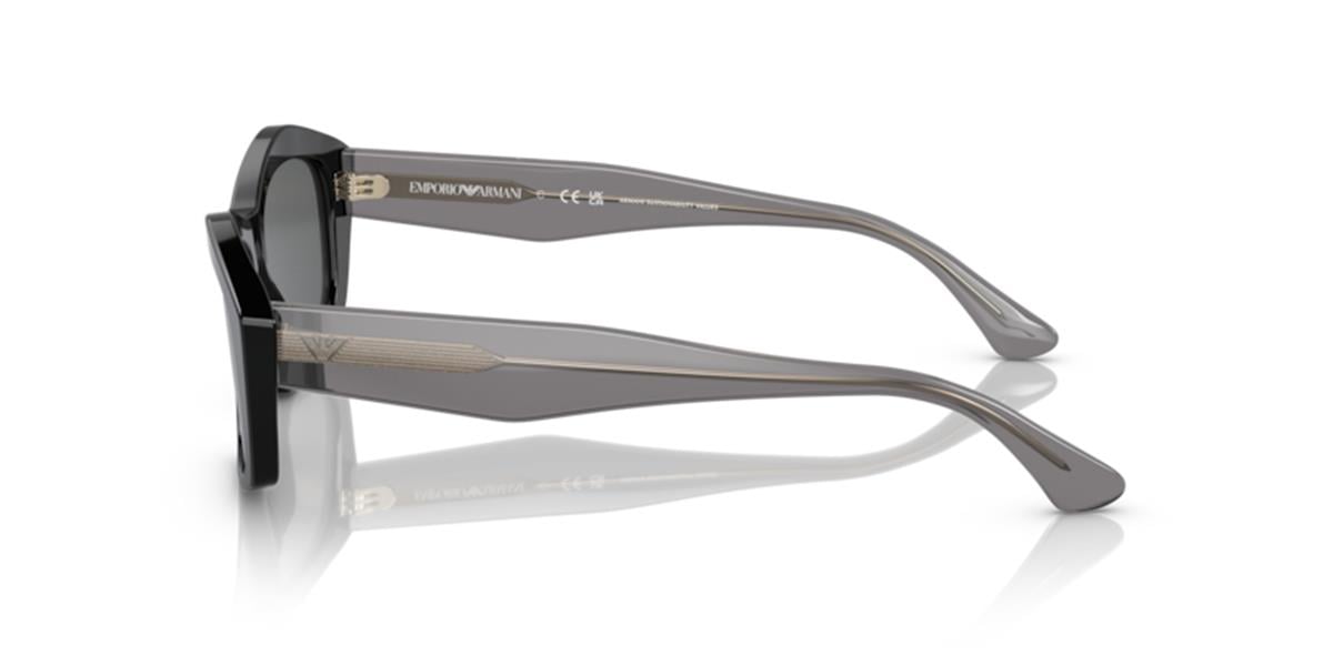 Emporio Armani 4187/501787