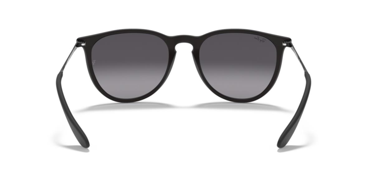 Ray-Ban rb4171/622-8g Erika 