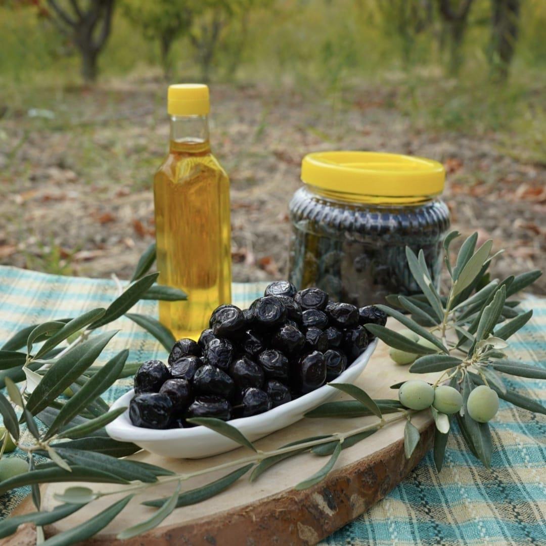 SİYAH ZEYTİN