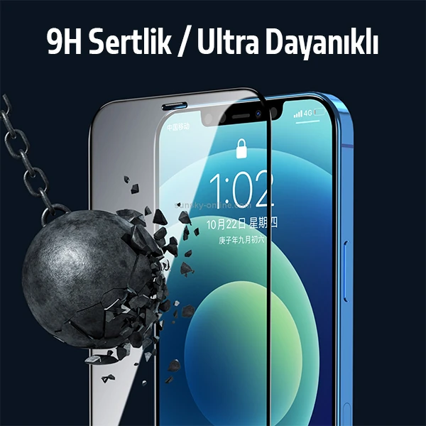 ALLY İPhone 12 Pro Max 5D Kavisli Full Tempered Cam Ekran Koruyucu-(1903)