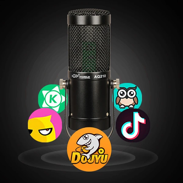 AQ210 Condenser Stüdyo Profesyonel Kayıt ve Yayın Mikrofonu Studio-(1903)