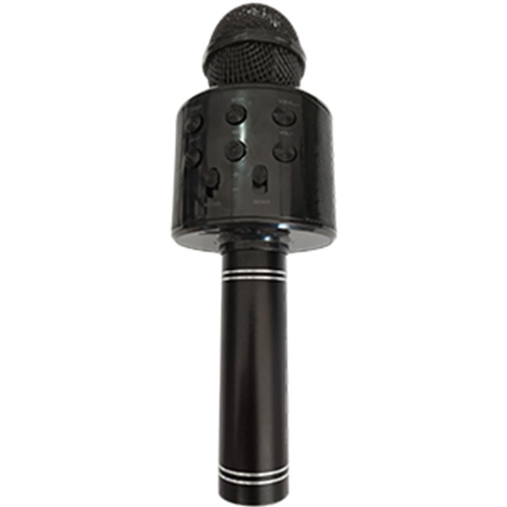 KARAOKE MİKROFON WS-858 MMK