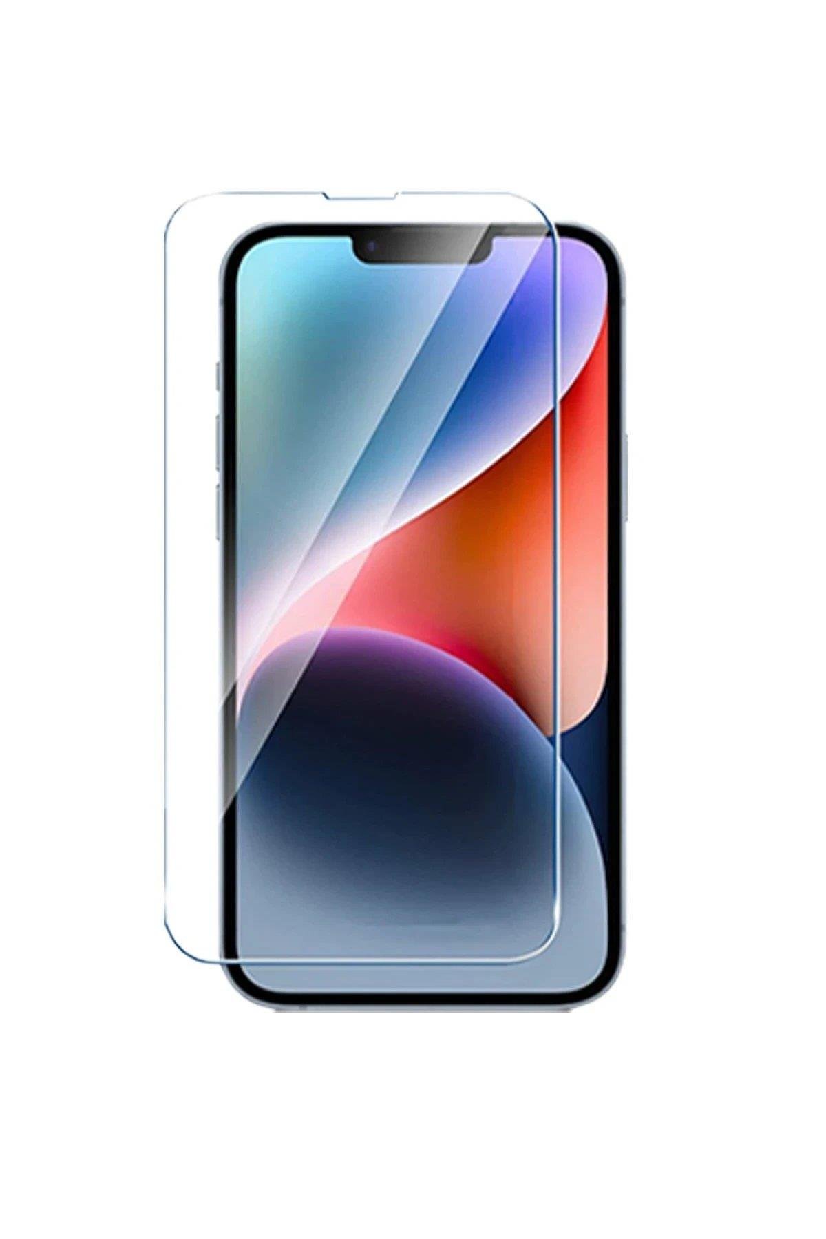 Newface Oppo Reno 4 Lite Pasifik Cam Ekran Koruyucu