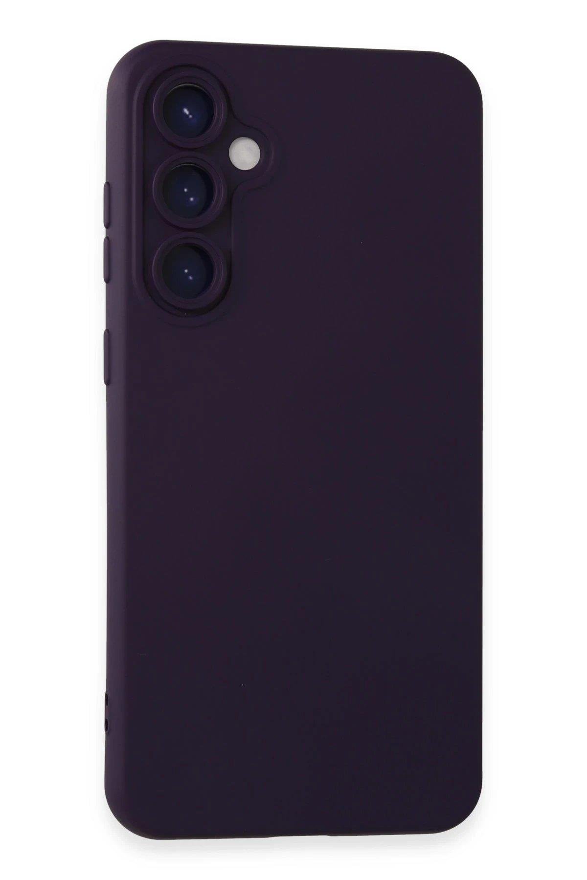 Newface Samsung Galaxy S24 Plus Kılıf Nano içi Kadife Silikon - Mor