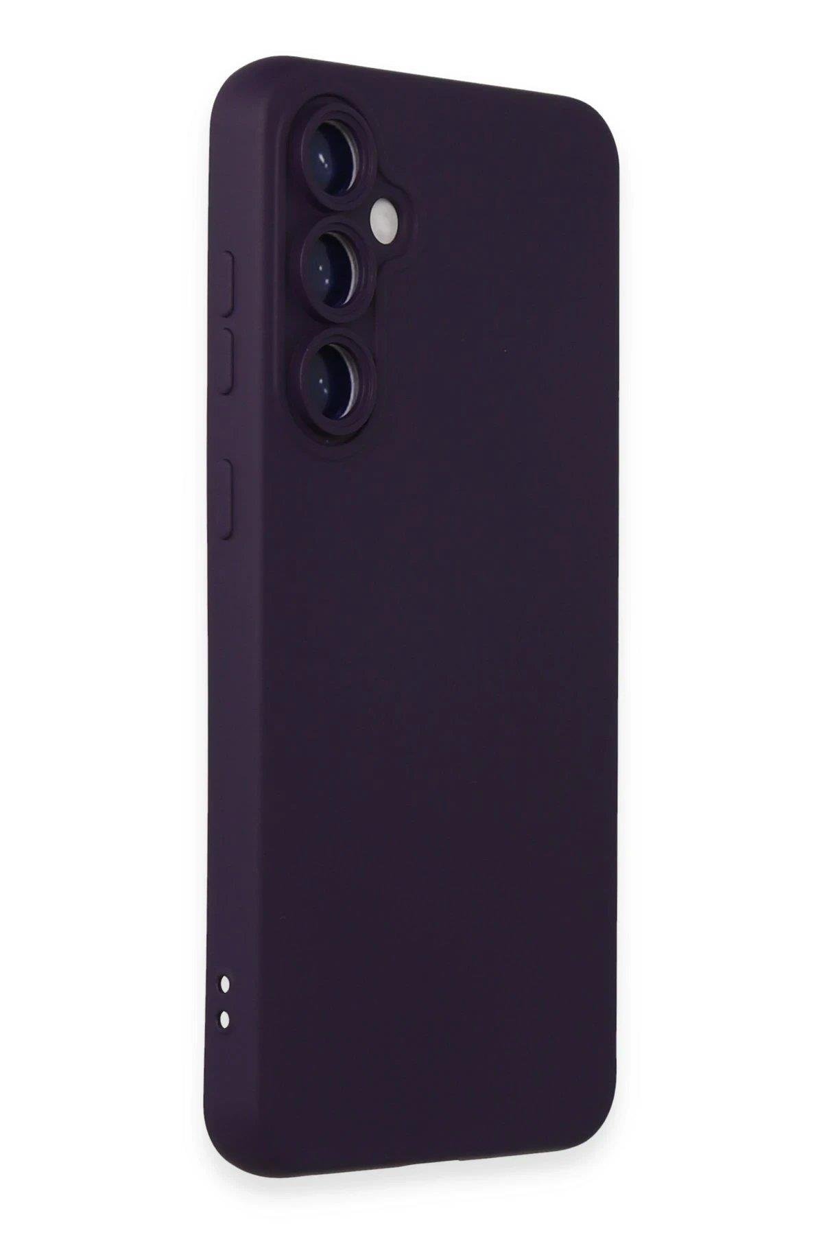 Newface Samsung Galaxy S24 Plus Kılıf Nano içi Kadife Silikon - Mor