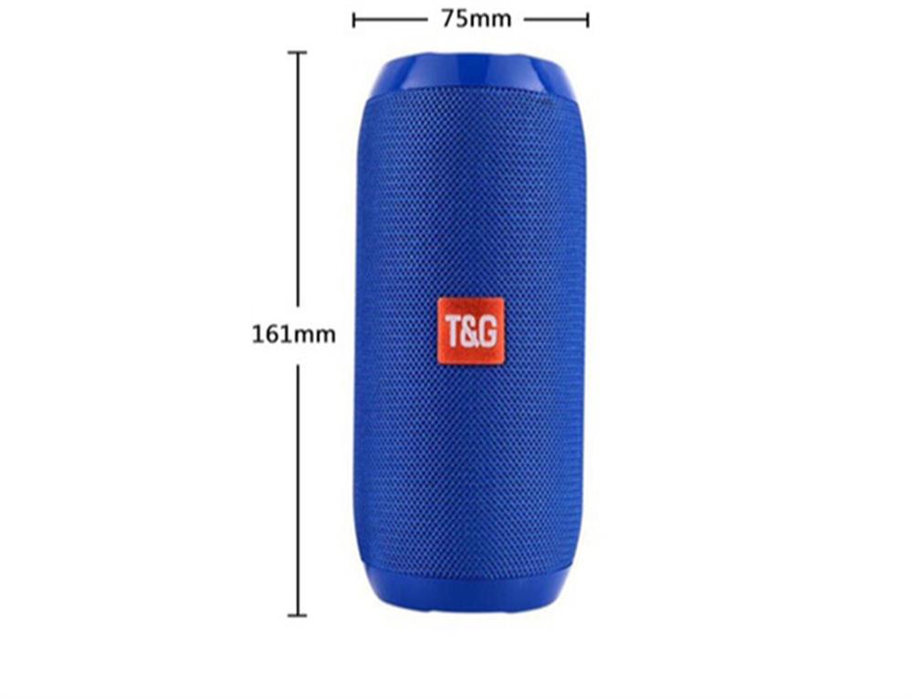 TG-117 PORTABLE BT SPEAKER