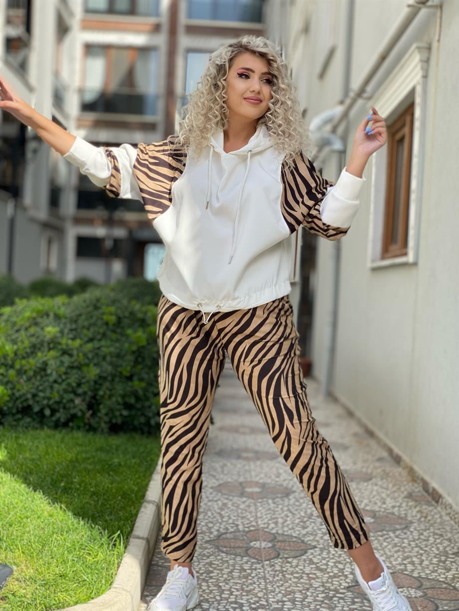 Zebra Takım 