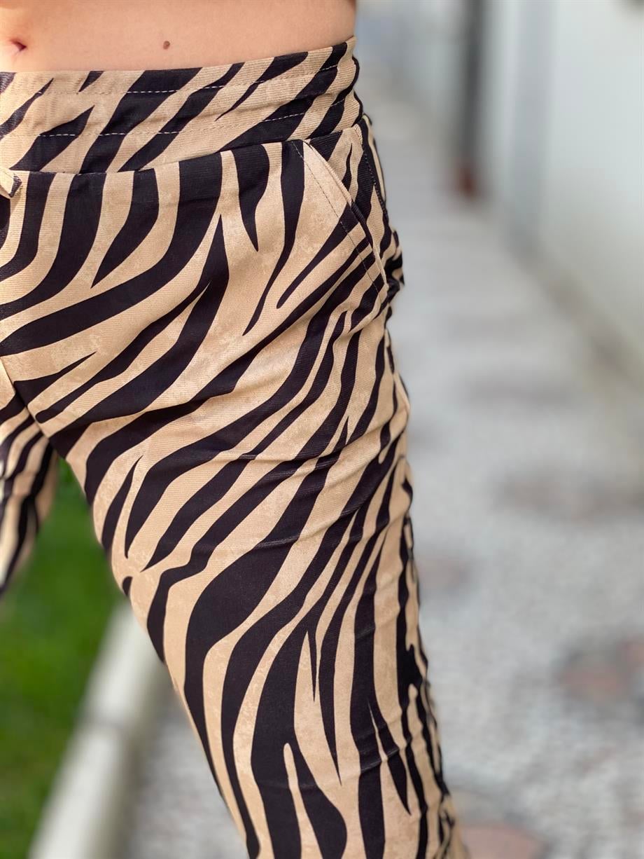 Zebra Takım 