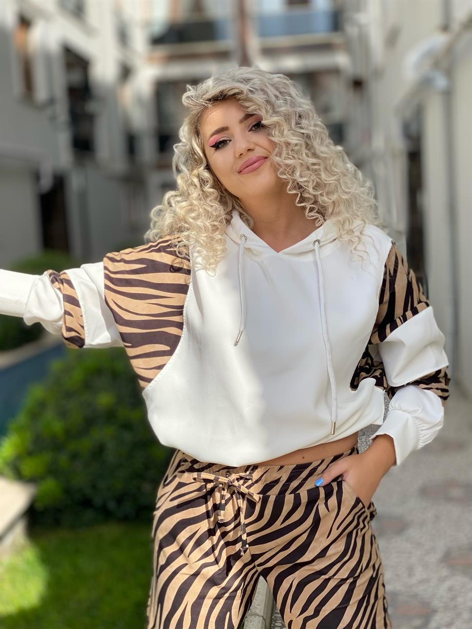 Zebra Takım 
