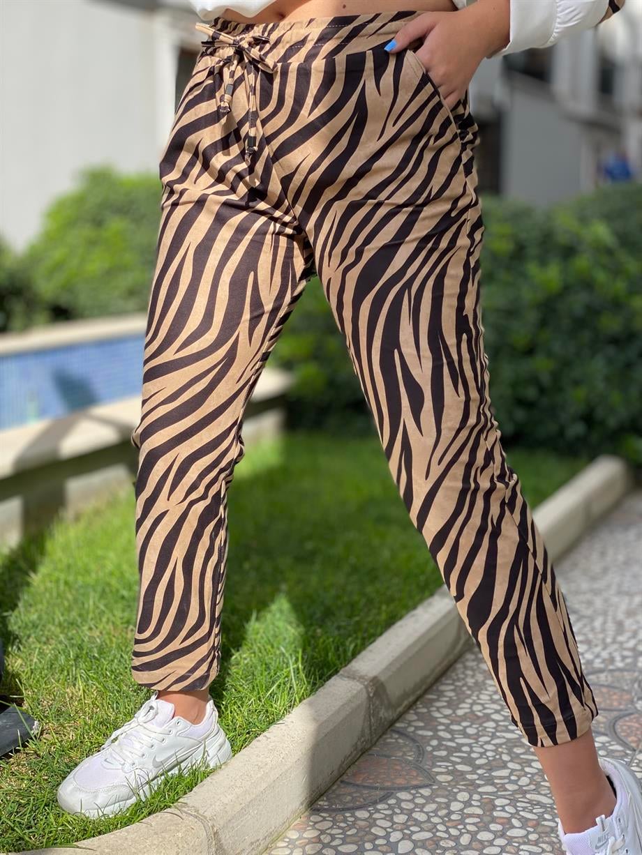 Zebra Takım 