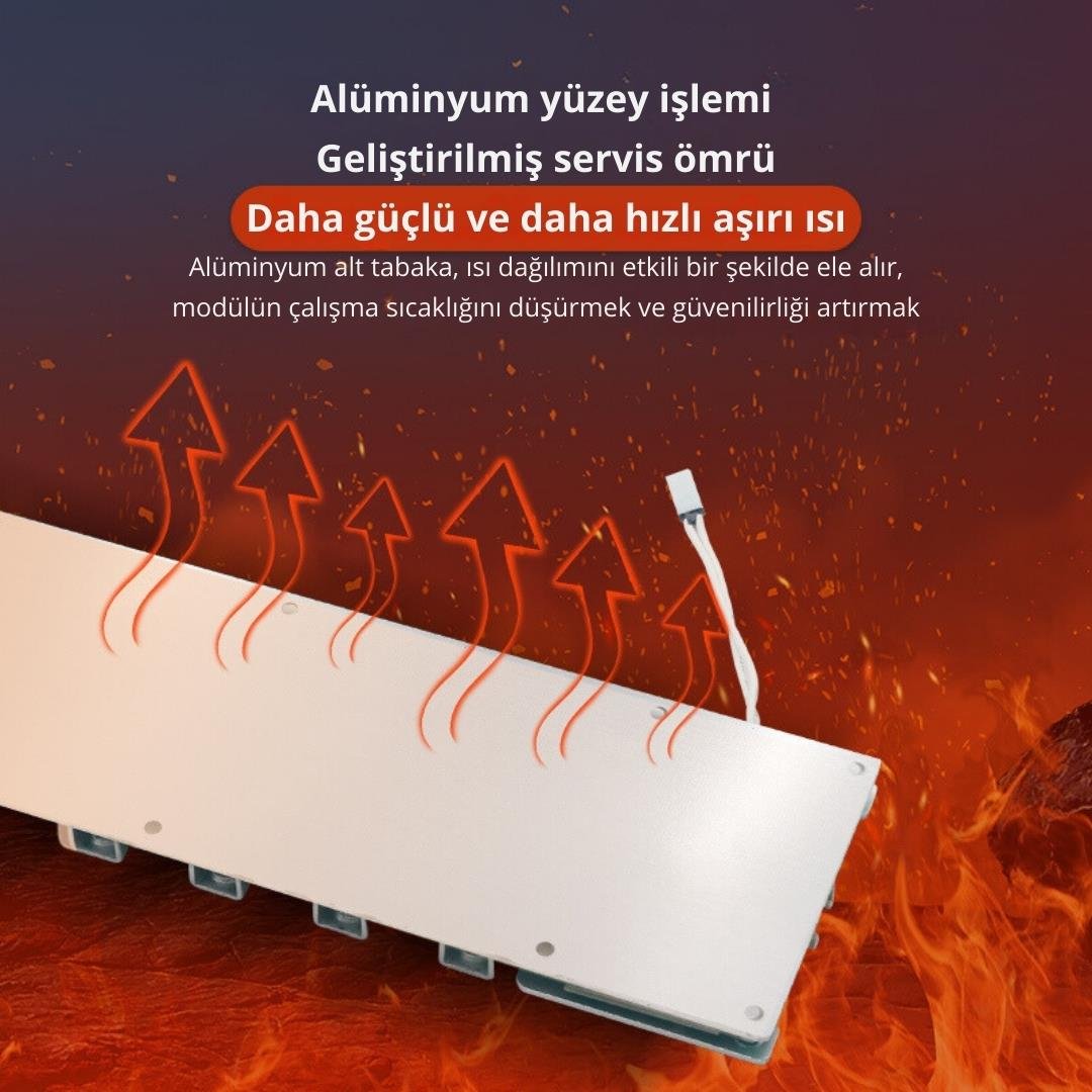 TDT 4S 12V 100A BMS Balanslı 