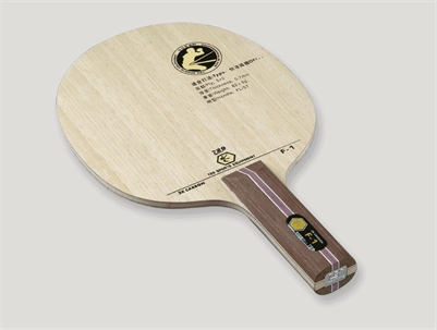 FRIENDSHIP F-1 KEVLAR CARBON