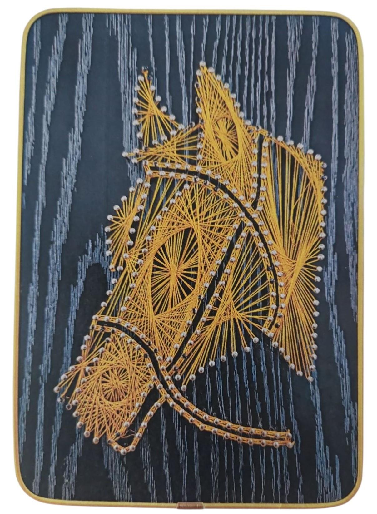 Kendin Yap At İp Sanat Seti 21*30 cm