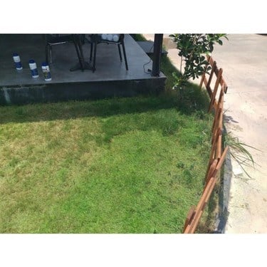 1 kg Yeşil Renkli Su Bazlı Çim Boyası Kolay Uygulama
