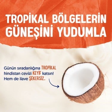 1 L Laktozsuz Vegan Hindistan Cevizi Sütü