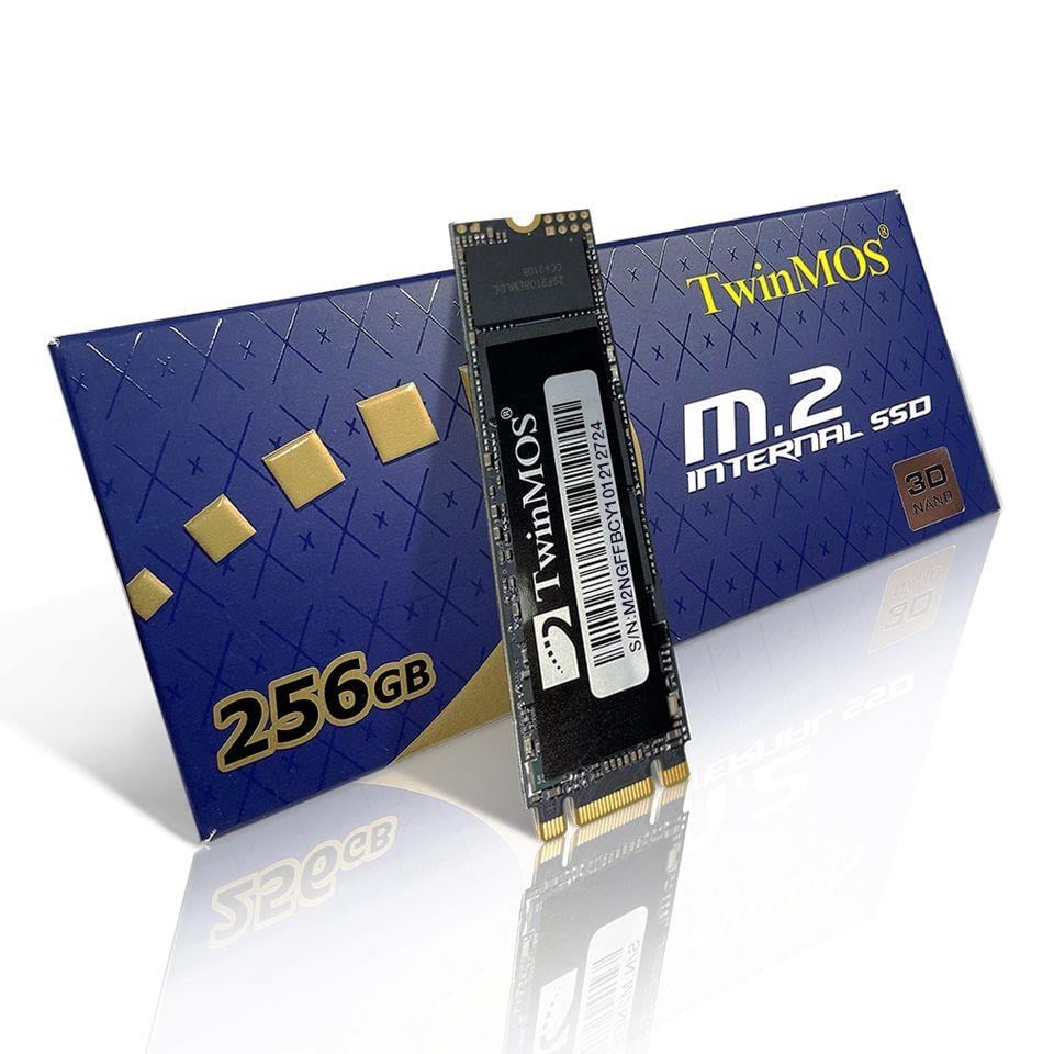 256 GB M.2 SATA3 580/550 NGFFEGBM2280