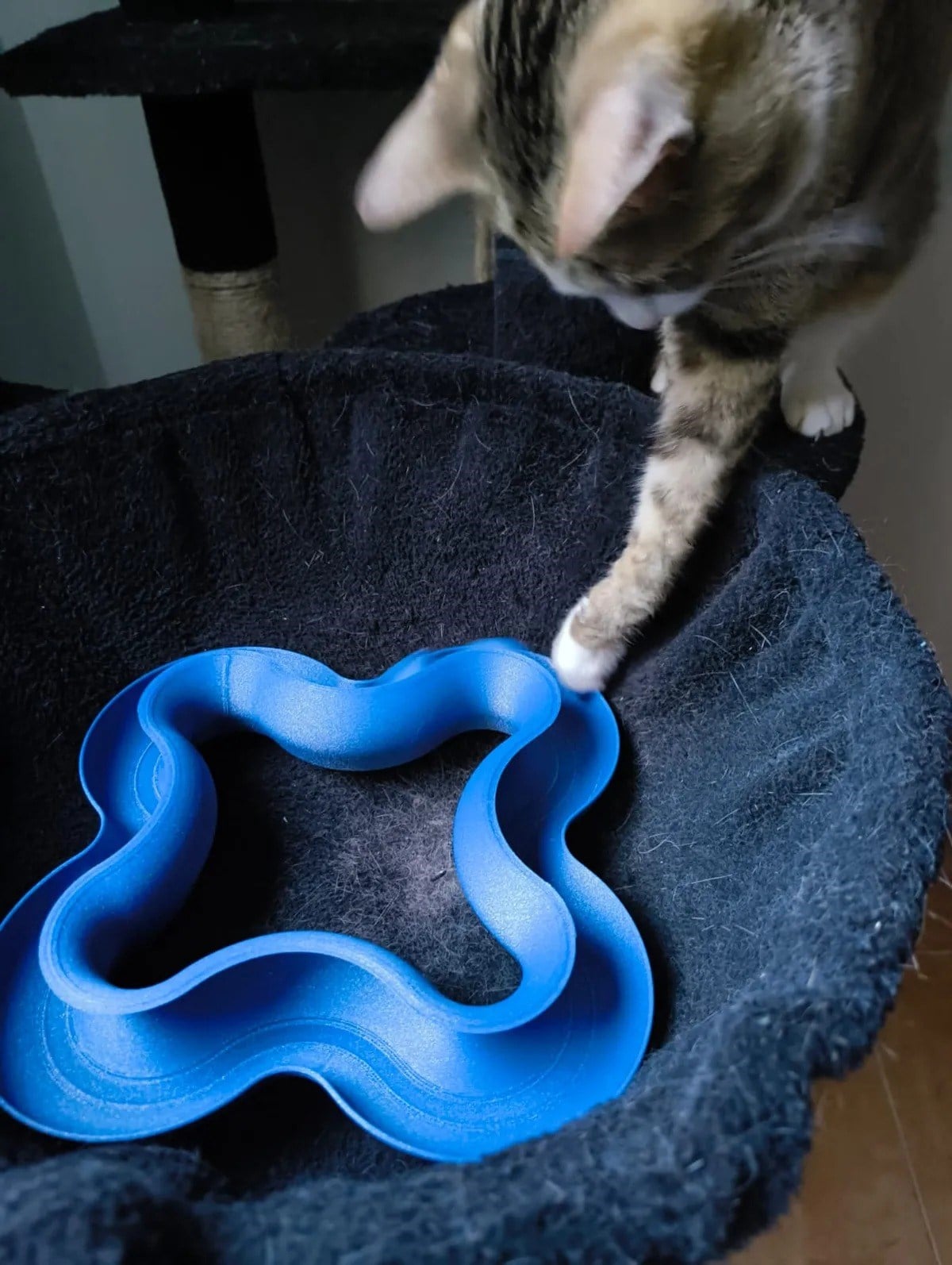 3D Baskı Dalgalı Toplu Kedi Oyuncağı Parkur Etkileşimli Kedi Zeka Oyuncağı Mavi