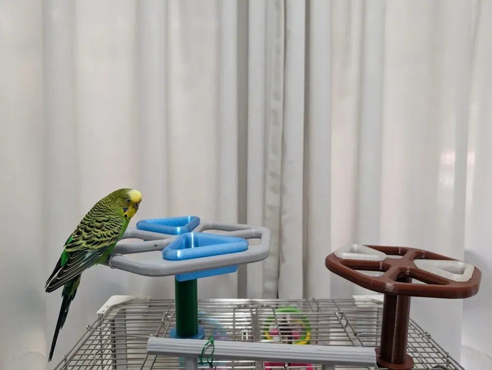 3D Baskı Dönebilen Kuş Yemliği ve Oyuncağı Muhabbet Kuşu ve Papağan Oyun Standı Etkileşimli Kuş Yemliği