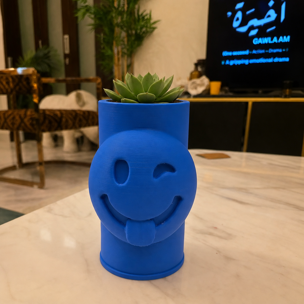 3D Baskı Emoji Planter - Göz Kırpan Yüzlü Sukulent Saksısı-Mavi