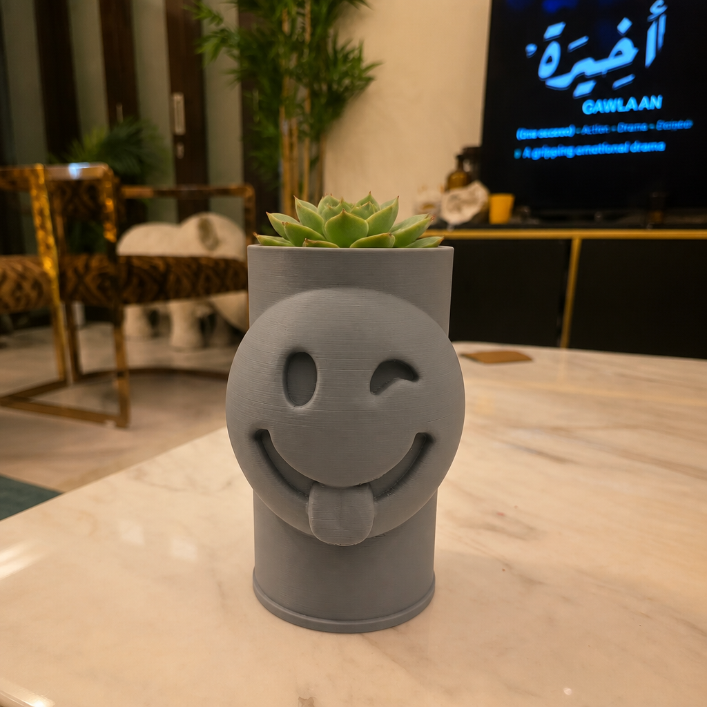 3D Baskı Emoji Planter - Göz Kırpan Yüzlü Sukulent Saksısı-Gri