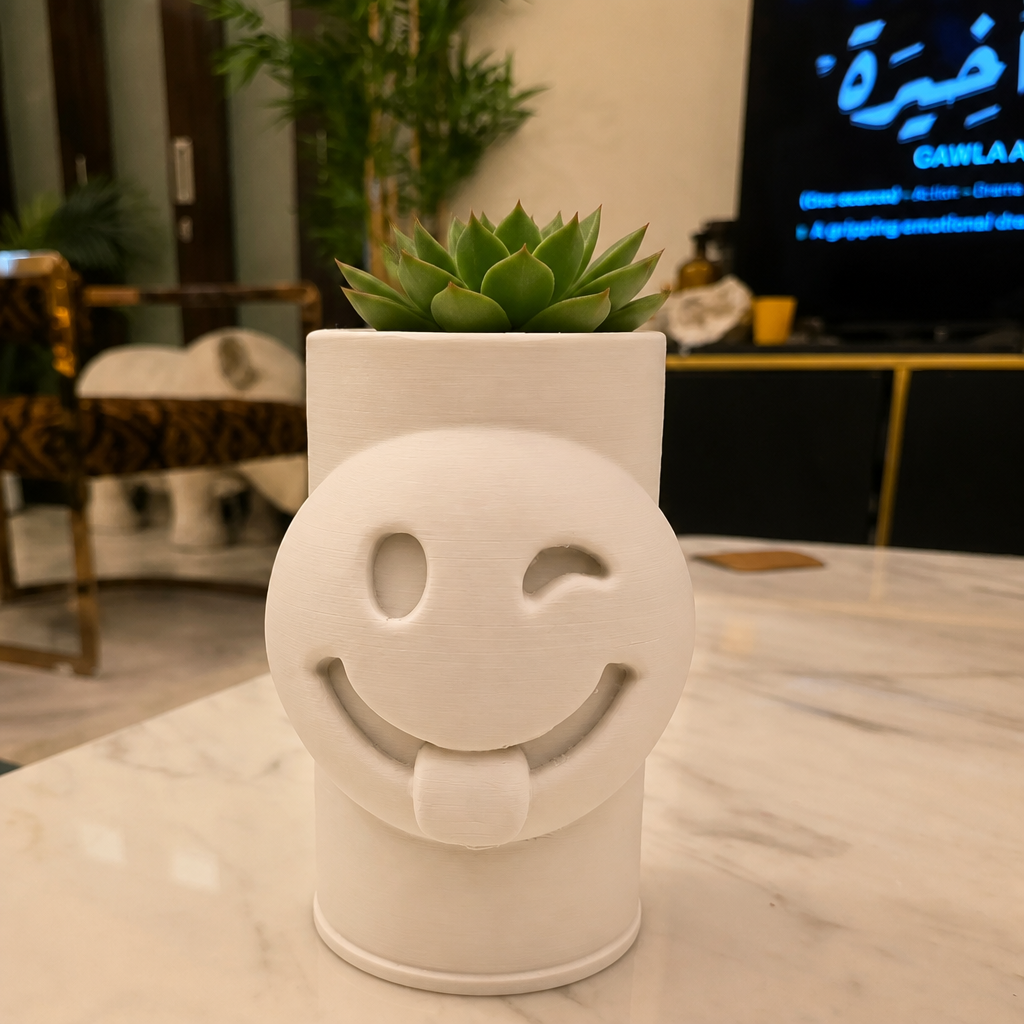 3D Baskı Emoji Planter - Göz Kırpan Yüzlü Sukulent Saksısı-Beyaz
