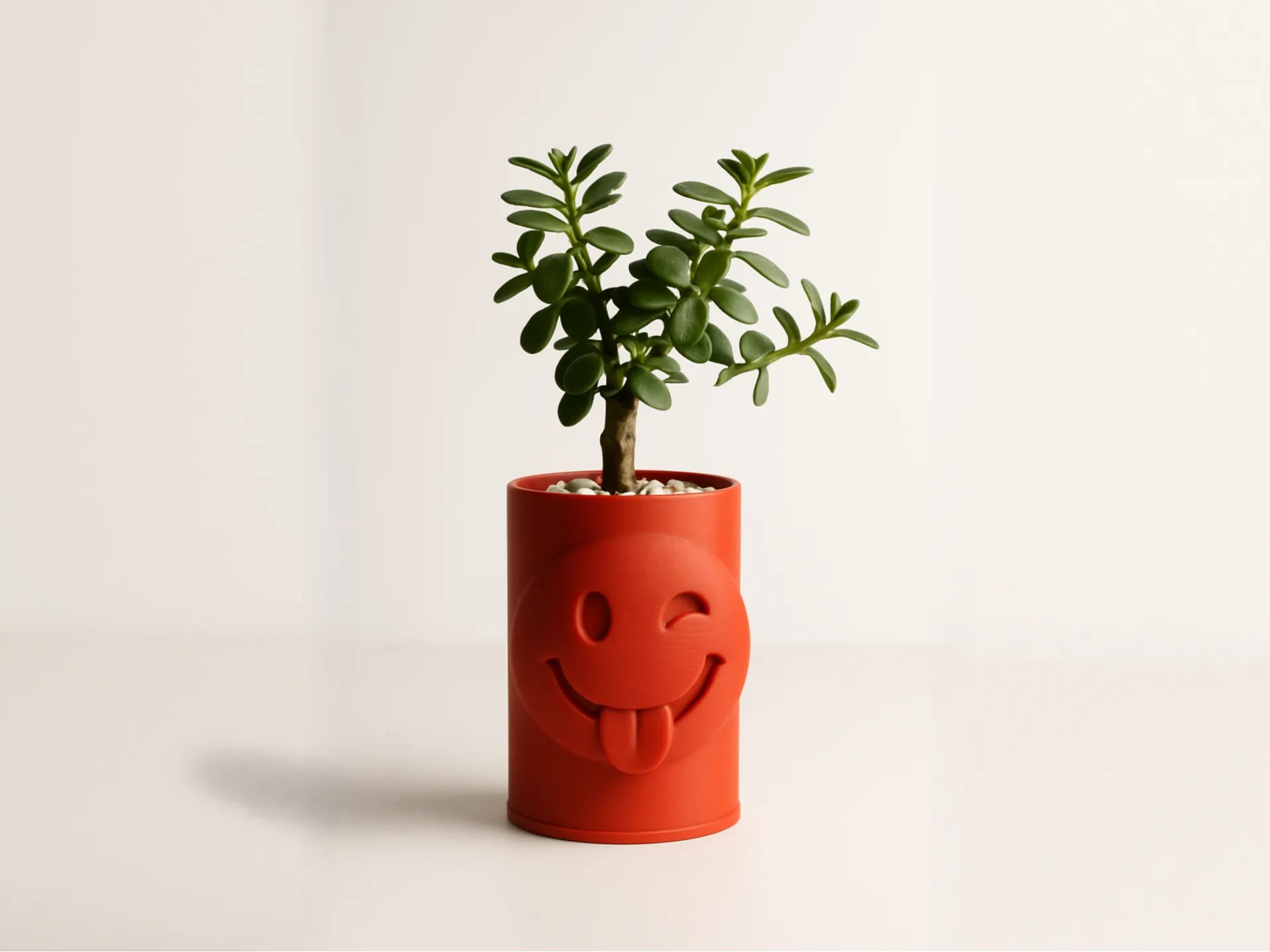 3D Baskı Emoji Planter - Göz Kırpan Yüzlü Sukulent Saksısı-Turuncu