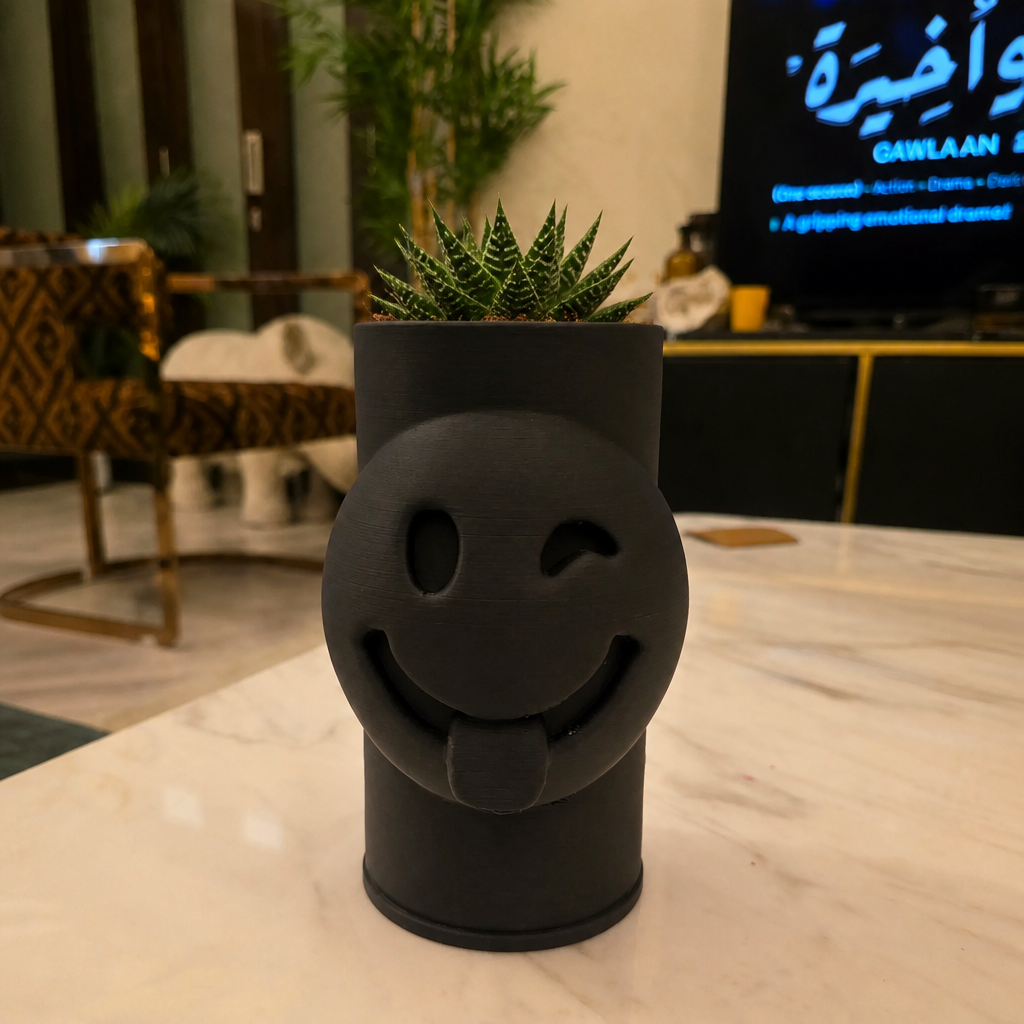 3D Baskı Emoji Planter - Göz Kırpan Yüzlü Sukulent Saksısı-Siyah