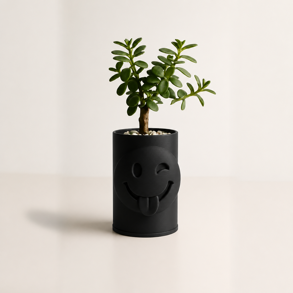 3D Baskı Emoji Planter - Göz Kırpan Yüzlü Sukulent Saksısı-Siyah