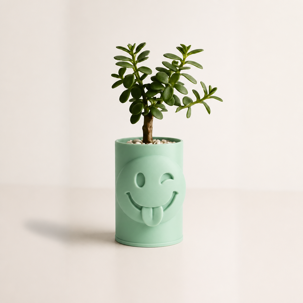 3D Baskı Emoji Planter - Göz Kırpan Yüzlü Sukulent Saksısı-Mint