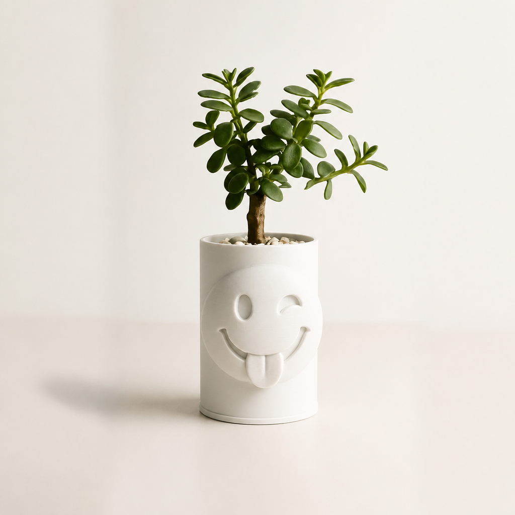3D Baskı Emoji Planter - Göz Kırpan Yüzlü Sukulent Saksısı-Beyaz