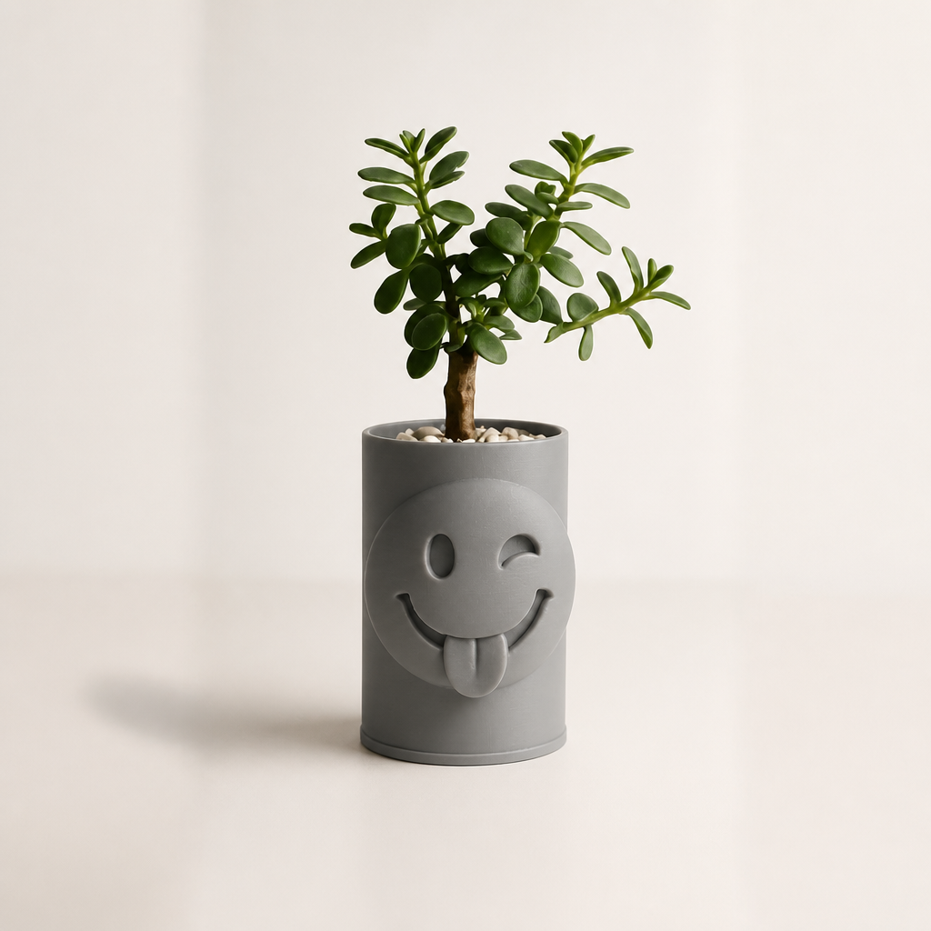 3D Baskı Emoji Planter - Göz Kırpan Yüzlü Sukulent Saksısı-Gri